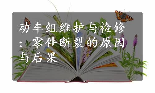 动车组维护与检修：零件断裂的原因与后果