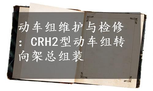 动车组维护与检修：CRH2型动车组转向架总组装