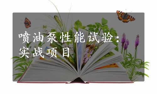 喷油泵性能试验：实战项目