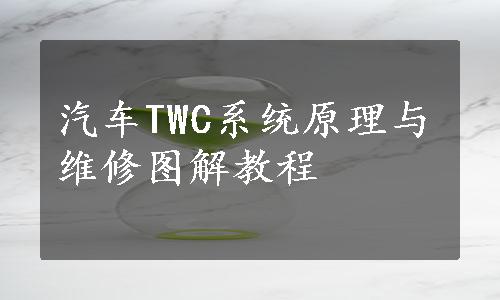 汽车TWC系统原理与维修图解教程