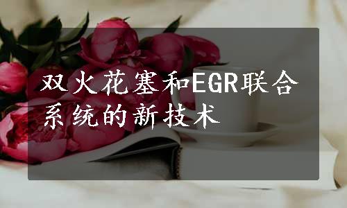 双火花塞和EGR联合系统的新技术