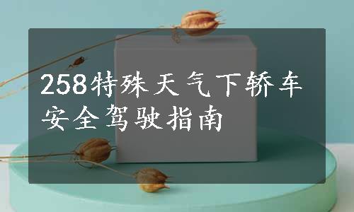 258特殊天气下轿车安全驾驶指南