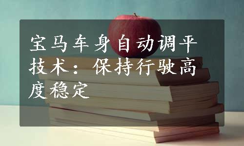 宝马车身自动调平技术：保持行驶高度稳定