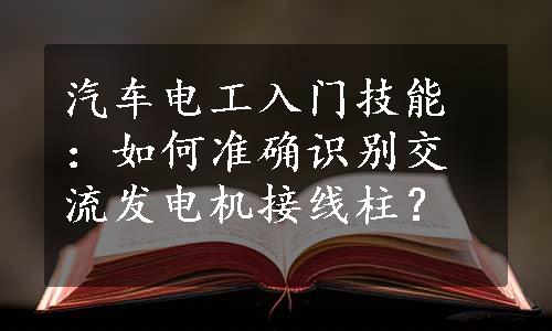 汽车电工入门技能：如何准确识别交流发电机接线柱？