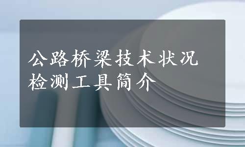 公路桥梁技术状况检测工具简介