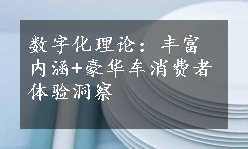 数字化理论：丰富内涵+豪华车消费者体验洞察