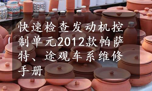 快速检查发动机控制单元2012款帕萨特、途观车系维修手册