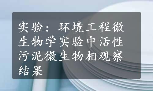 实验：环境工程微生物学实验中活性污泥微生物相观察结果