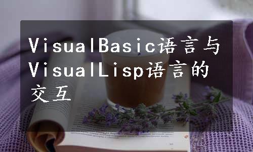 VisualBasic语言与VisualLisp语言的交互