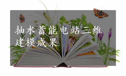 抽水蓄能电站三维建模成果