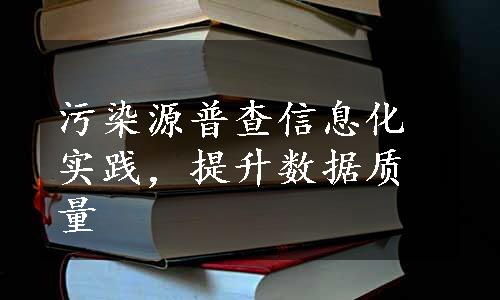 污染源普查信息化实践，提升数据质量