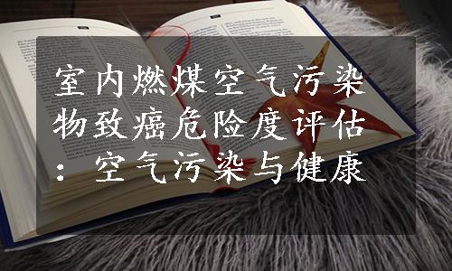 室内燃煤空气污染物致癌危险度评估：空气污染与健康