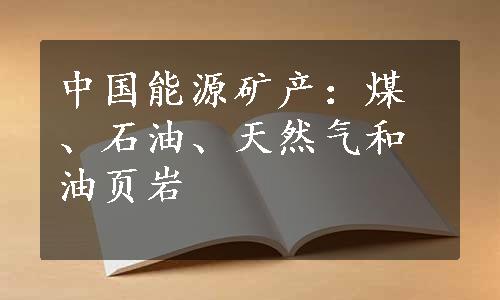 中国能源矿产：煤、石油、天然气和油页岩