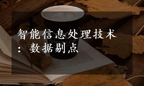 智能信息处理技术：数据剔点