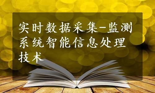 实时数据采集-监测系统智能信息处理技术