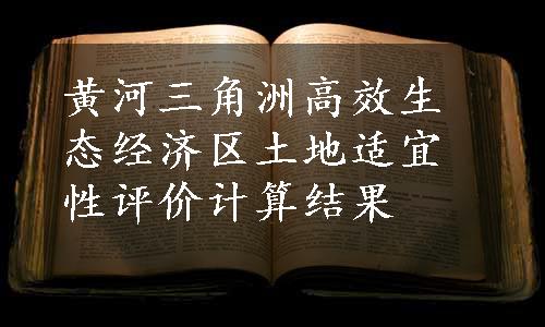 黄河三角洲高效生态经济区土地适宜性评价计算结果