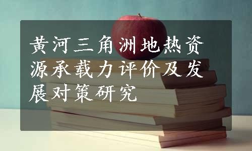 黄河三角洲地热资源承载力评价及发展对策研究