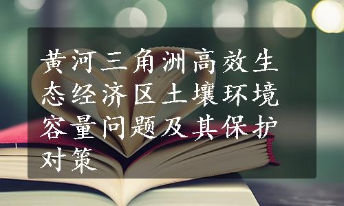 黄河三角洲高效生态经济区土壤环境容量问题及其保护对策