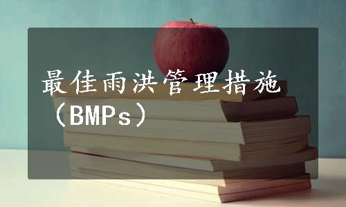 最佳雨洪管理措施（BMPs）