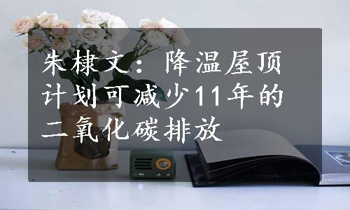 朱棣文：降温屋顶计划可减少11年的二氧化碳排放