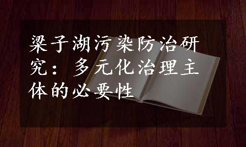 梁子湖污染防治研究：多元化治理主体的必要性