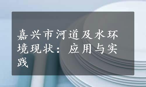 嘉兴市河道及水环境现状：应用与实践