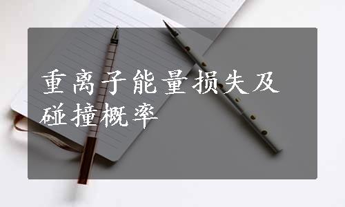 重离子能量损失及碰撞概率