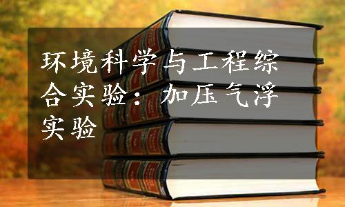 环境科学与工程综合实验：加压气浮实验