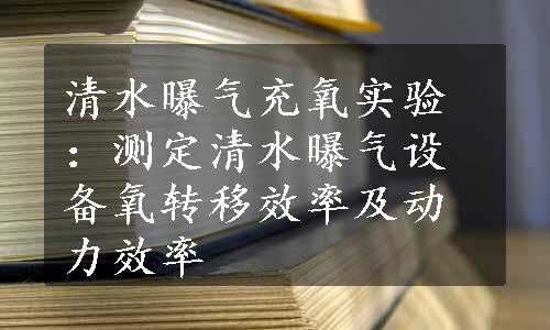 清水曝气充氧实验：测定清水曝气设备氧转移效率及动力效率