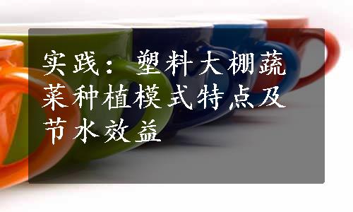 实践：塑料大棚蔬菜种植模式特点及节水效益