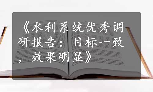 《水利系统优秀调研报告：目标一致，效果明显》