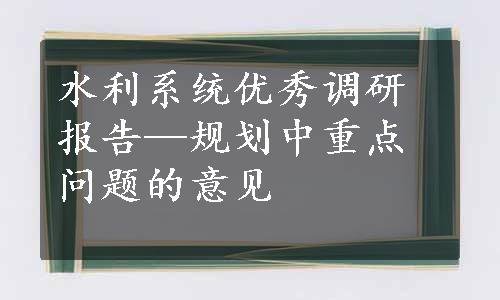 水利系统优秀调研报告—规划中重点问题的意见