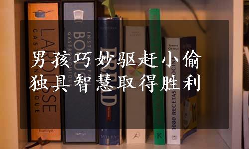 男孩巧妙驱赶小偷独具智慧取得胜利