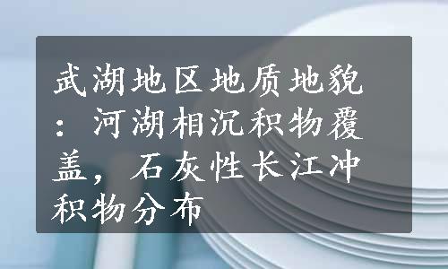 武湖地区地质地貌：河湖相沉积物覆盖，石灰性长江冲积物分布