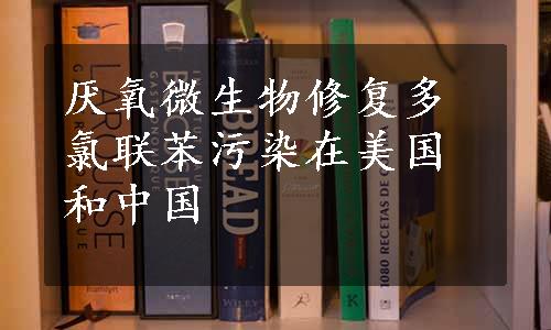 厌氧微生物修复多氯联苯污染在美国和中国