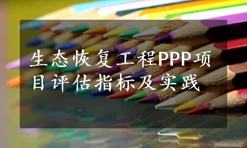 生态恢复工程PPP项目评估指标及实践