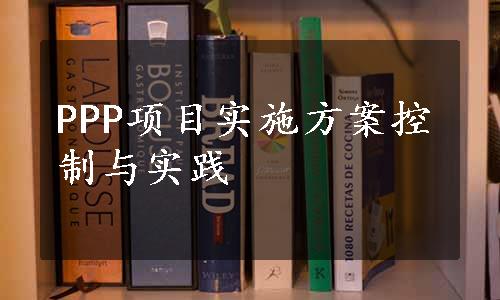 PPP项目实施方案控制与实践