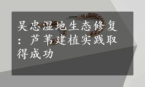 吴忠湿地生态修复：芦苇建植实践取得成功