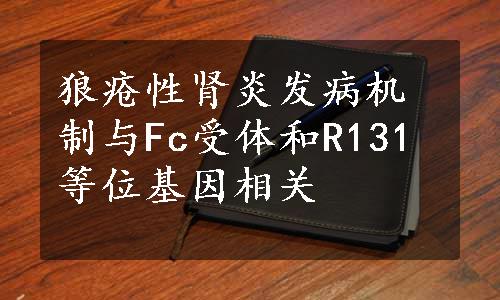 狼疮性肾炎发病机制与Fc受体和R131等位基因相关