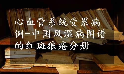 心血管系统受累病例-中国风湿病图谱的红斑狼疮分册