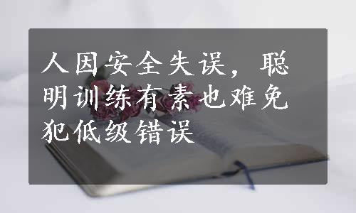 人因安全失误，聪明训练有素也难免犯低级错误