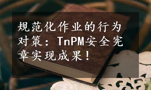 规范化作业的行为对策：TnPM安全宪章实现成果！