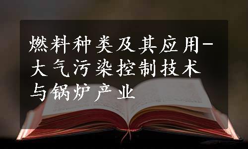 燃料种类及其应用-大气污染控制技术与锅炉产业