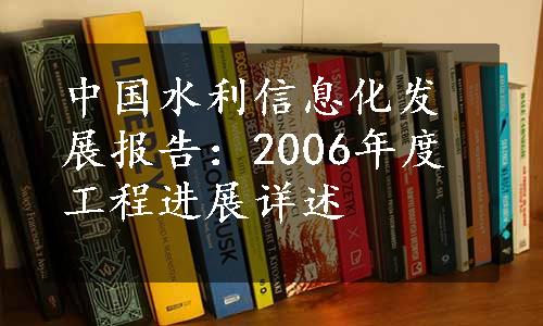 中国水利信息化发展报告：2006年度工程进展详述