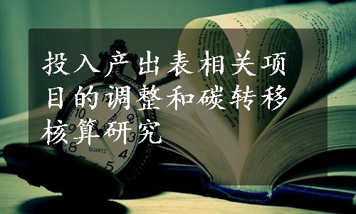 投入产出表相关项目的调整和碳转移核算研究