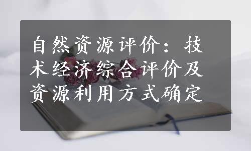 自然资源评价：技术经济综合评价及资源利用方式确定