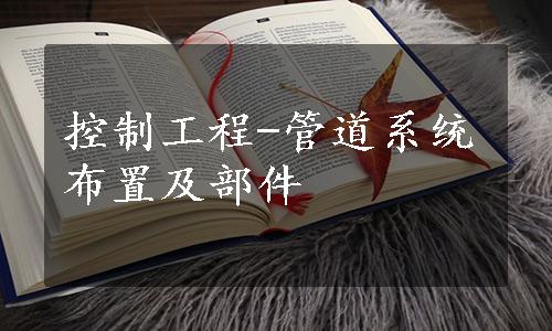 控制工程-管道系统布置及部件