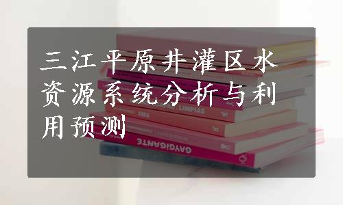 三江平原井灌区水资源系统分析与利用预测