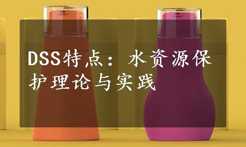 DSS特点：水资源保护理论与实践