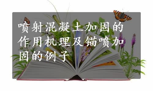 喷射混凝土加固的作用机理及锚喷加固的例子